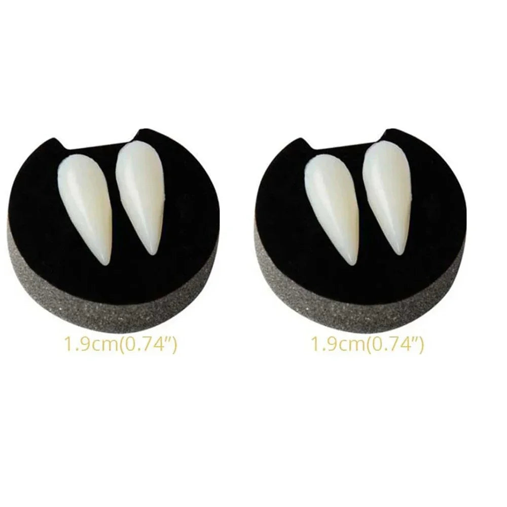 Vampire fang dentures with two off-white pointed teeth on black gum bases (larger set)