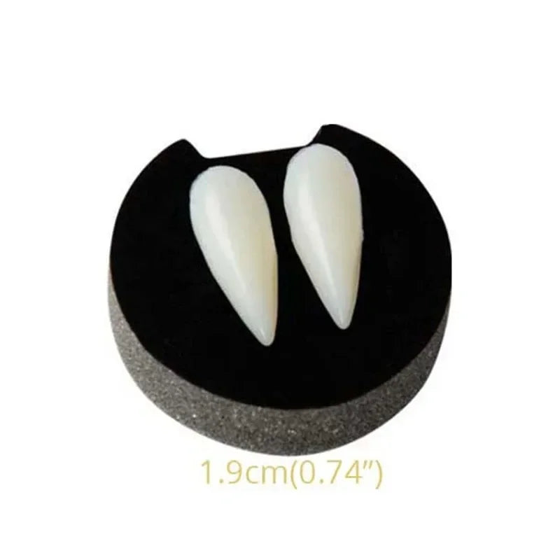 Vampire fang dentures with two off-white pointed teeth on a black gum base (larger)