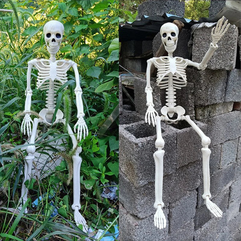 Life-size white plastic skeleton prop with articulated arms and ribcage