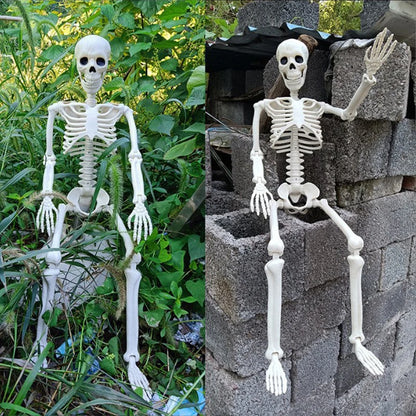 Life-size white plastic skeleton prop with articulated arms and ribcage