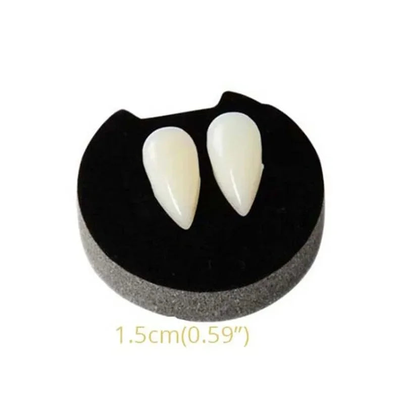 Single vampire fang denture with two off-white pointed teeth on a black gum base