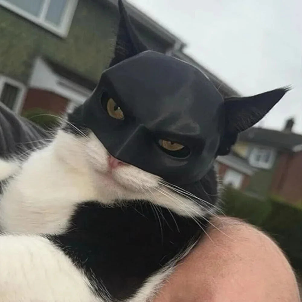 Black cat bat mask with glossy surface and oval eye cutouts, close-up on cat