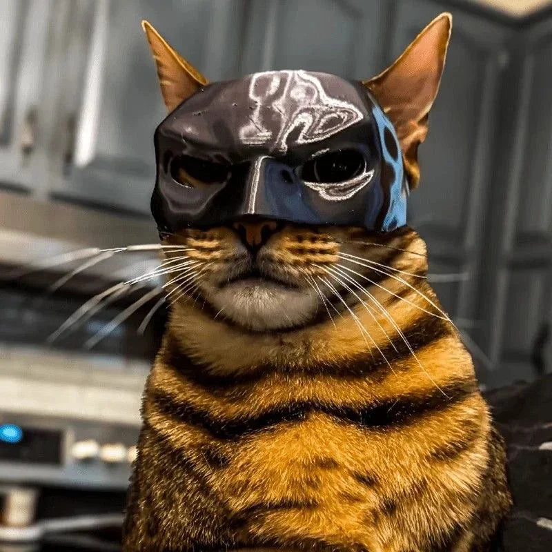 Black metallic cat bat mask with triangular eye cutouts, worn by a cat