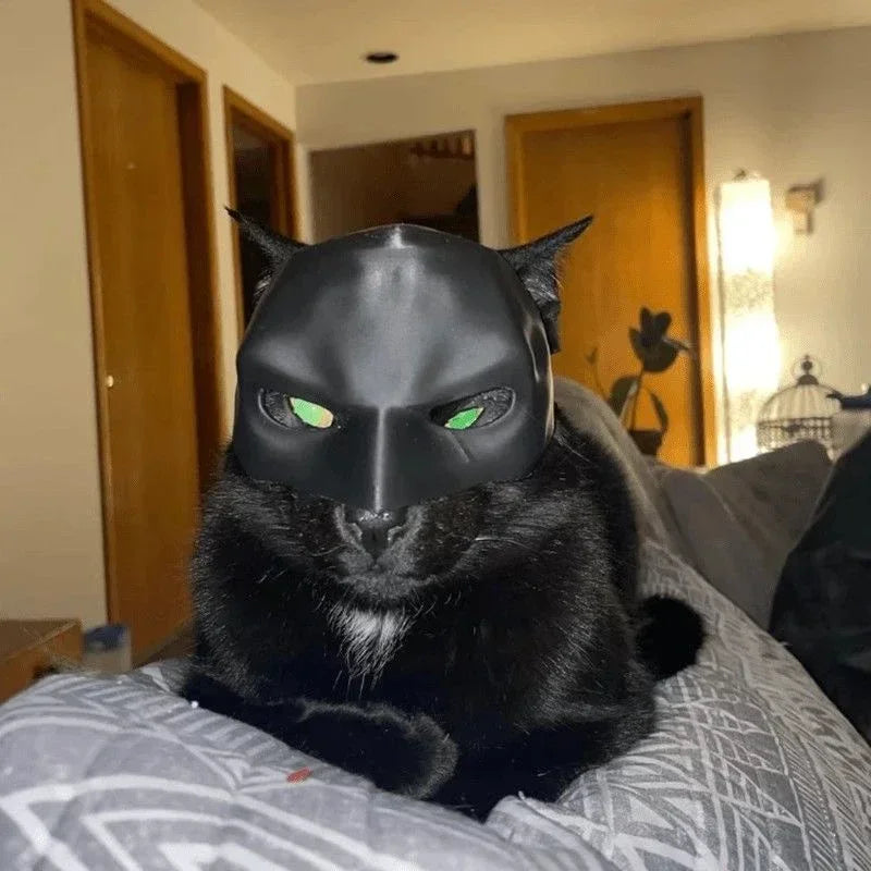 Black cat bat mask with sculpted bat ears and oval eye openings, worn on a cat