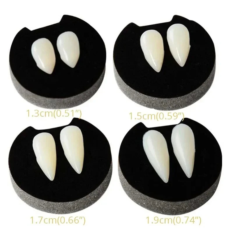 Vampire fang dentures with two off-white pointed teeth on a black gum base