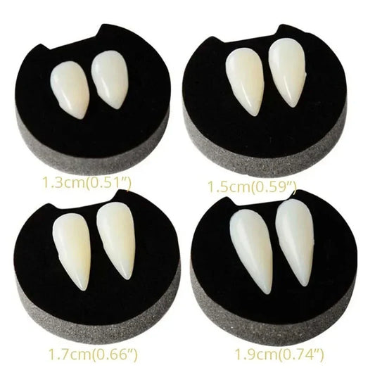 Vampire fang dentures with two off-white pointed teeth on a black gum base