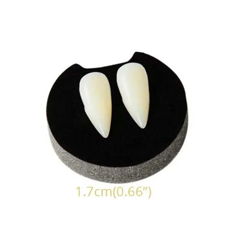 Vampire fang dentures with two ivory pointed teeth on a black gum piece
