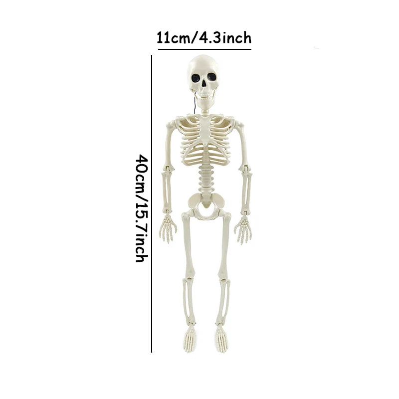 Small white plastic skeleton prop standing upright with skull head and ribs